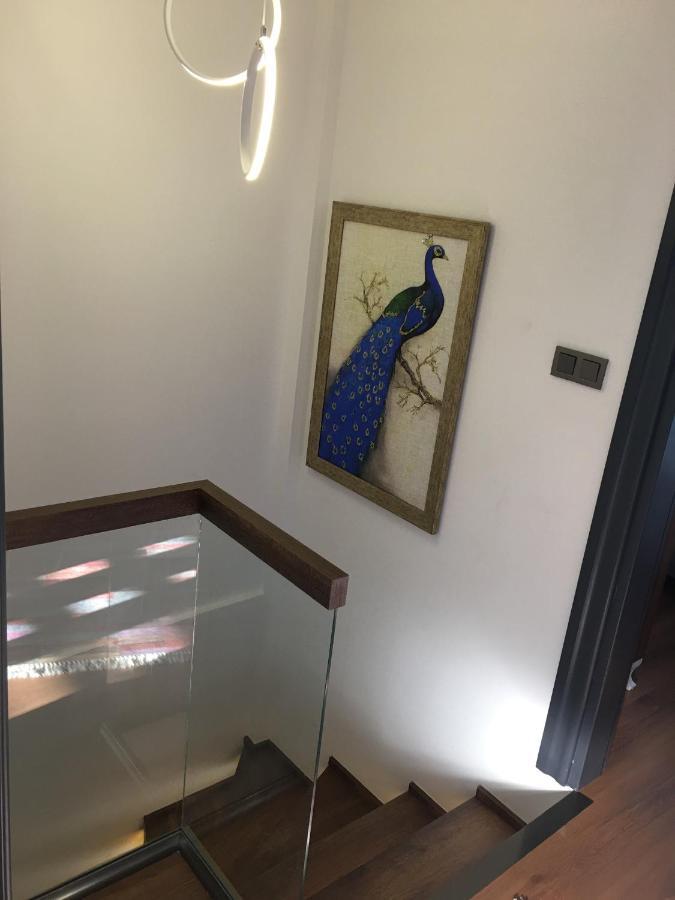 Villa Yilmaz Dream Holiday Kusadası Esterno foto